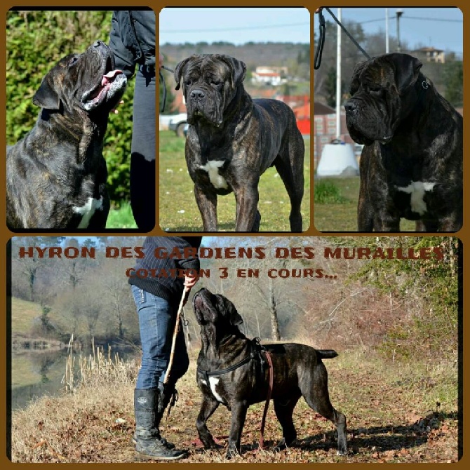 Happiness For A Life - Hyron des gardiens des murailles 3 ans