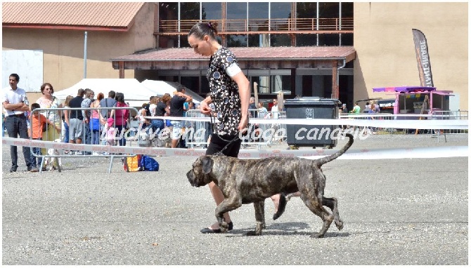 Happiness For A Life - CACS Villeneuve sur Lot (47)